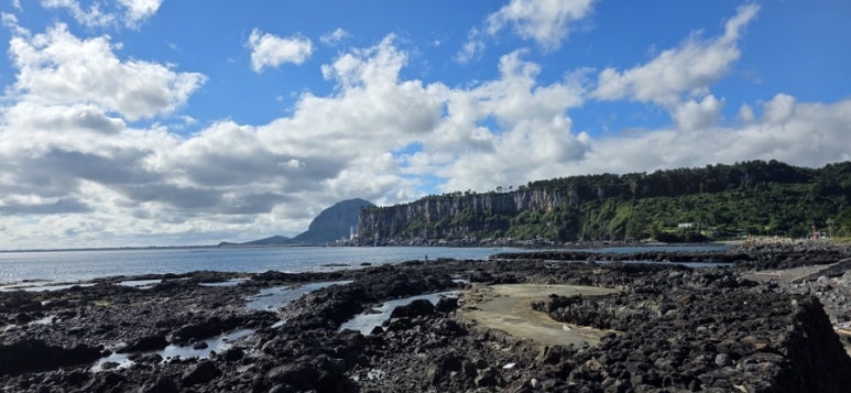 방구석을 박차고 나온 20대, 제주 올레길에서 인생의 나침반을 찾다! 🧭