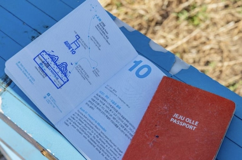 제주 올레길, 퇴원 후 '새로운 시작'을 걷다