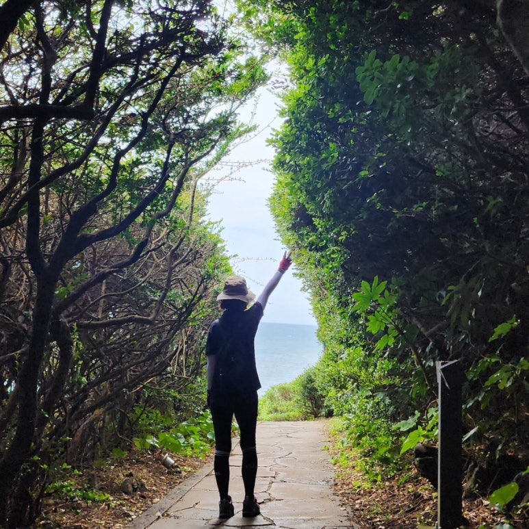 파도 소리 위로! 제주 올레길, 살아있는 감동이 가득한 발자취 👣🌊**