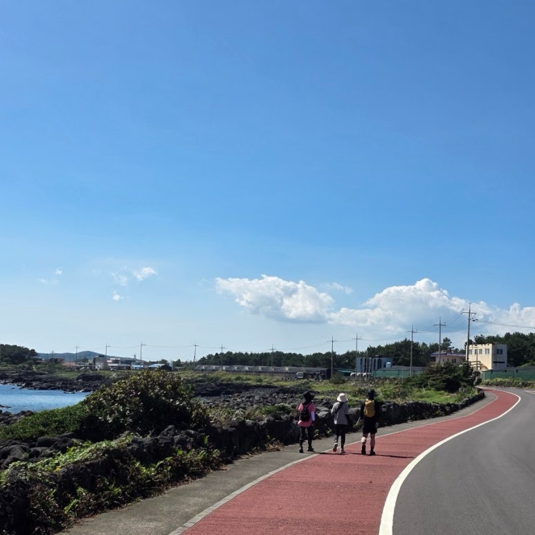 사랑하는 올레길 걷기 모임 길동무 여러분, 그리고 존경하는 인솔자님께.