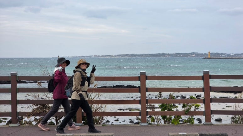 매서운 바람, 길치의 설움, 그래도 완주! 제주 올레길에서 찾은 나의 방향성 👣💨