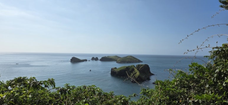 제주 올레길: 지친 일상, 희망으로 채운 내 삶의 소중한 한 페이지 ✨