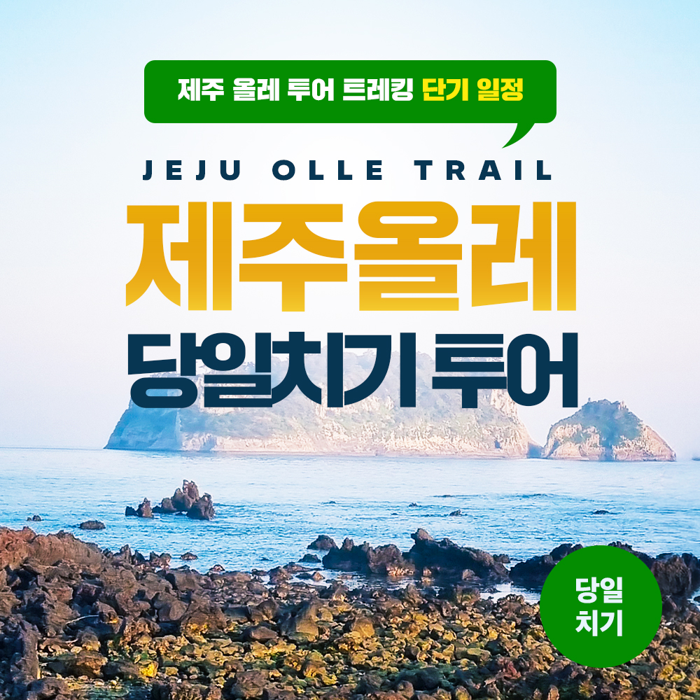 제주 올레 당일치기 1박 2일 투어