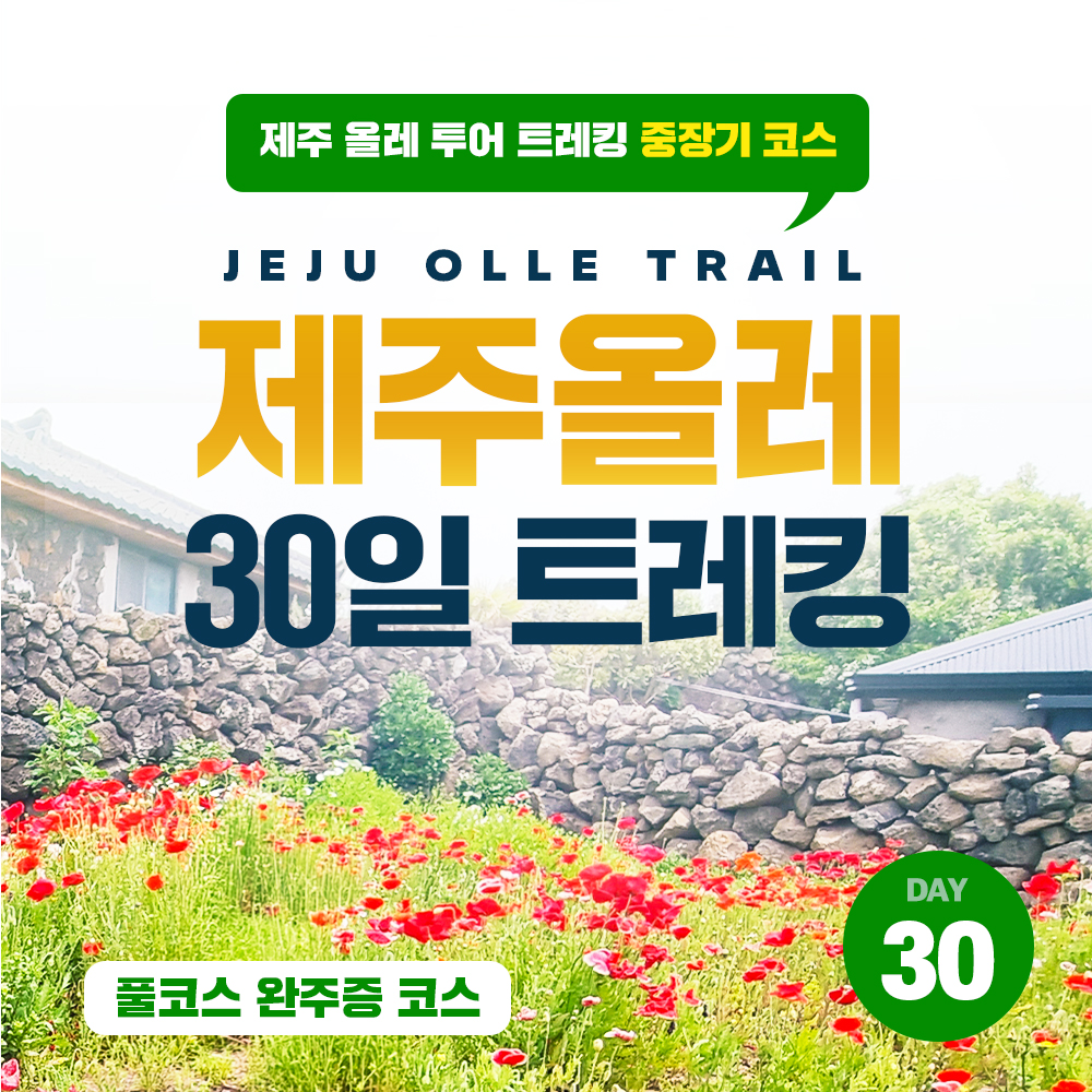 제주 올레 트레킹 30일 투어