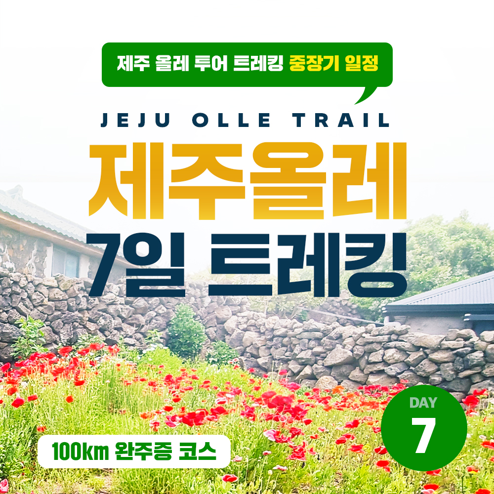 제주 올레 트레킹 7일 투어